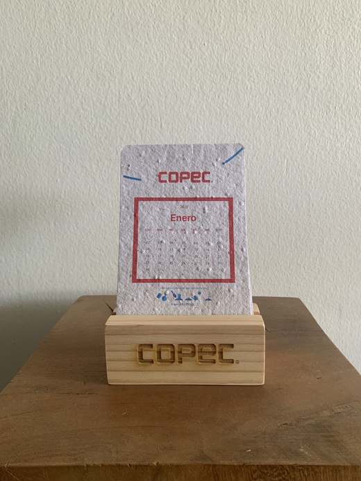 Calendario Plantable — 3 institucional copec