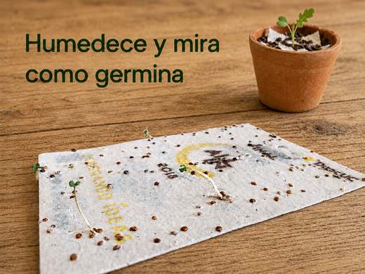 Credencial plantable — 7 como funciona brotada