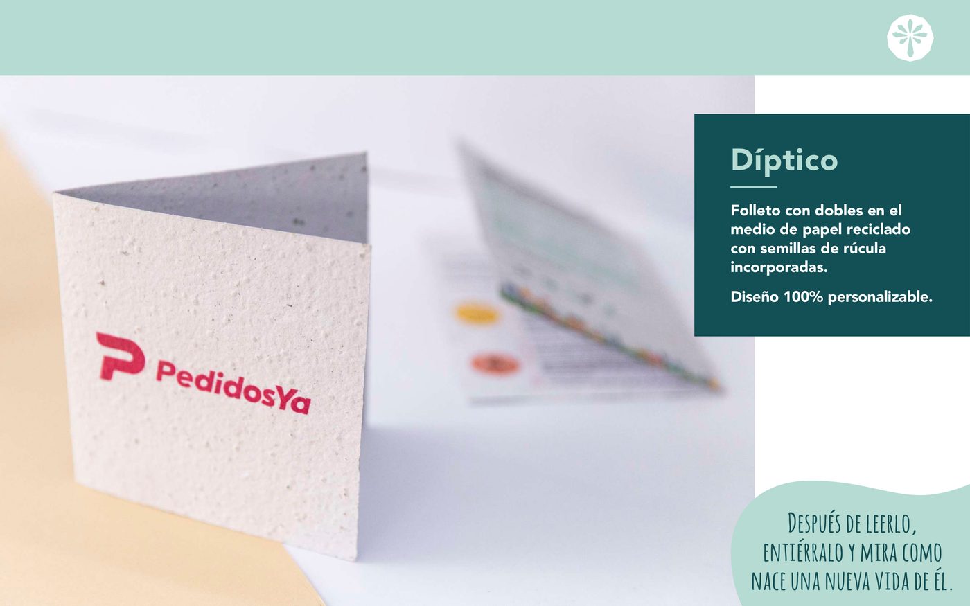 Díptico Plantable — 0 portada catalogo