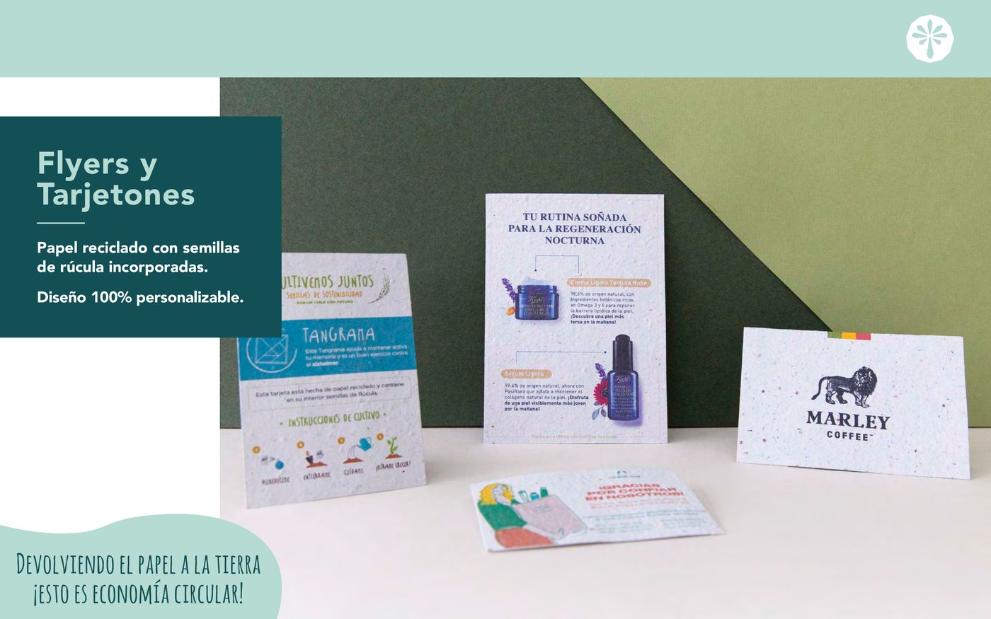 Flyers y Tarjetones — 0 portada catalogo