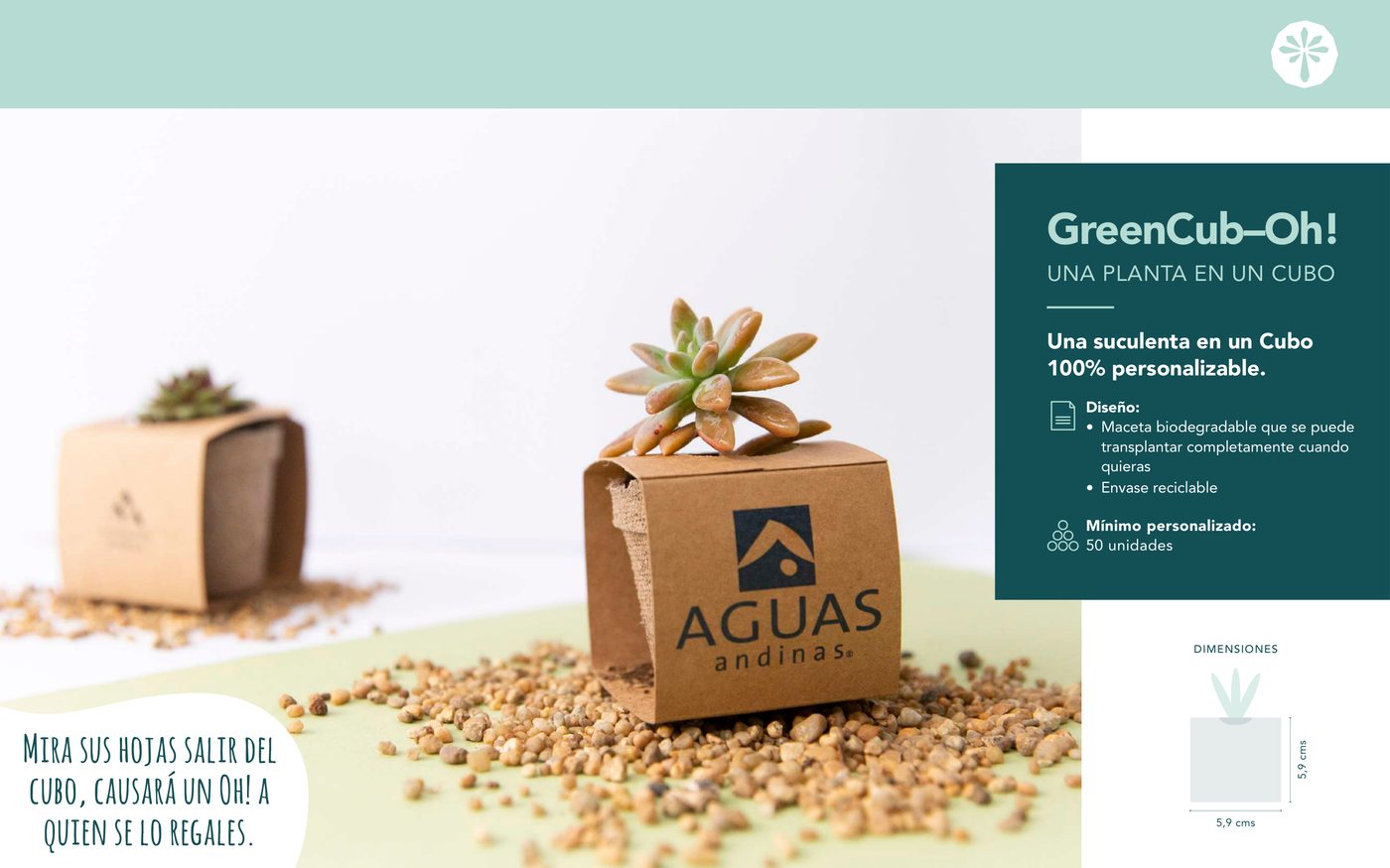 GreenCub-Oh! — 0 portada catalogo