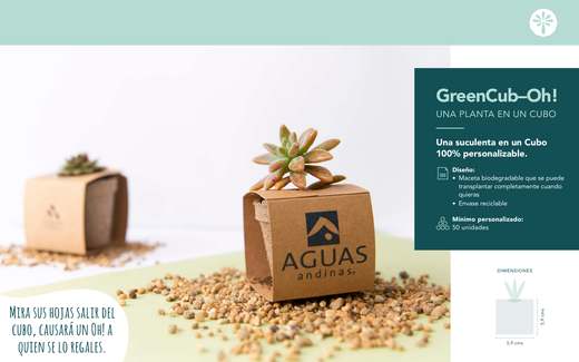 GreenCub-Oh! — 0 portada catalogo