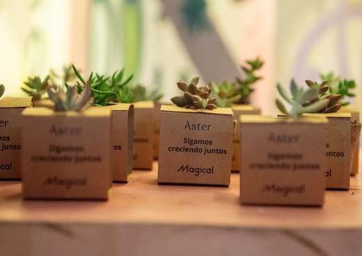 GreenCub-Oh! — 4 evento aster