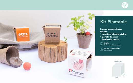 Kit Plantable — 0 portada catalogo