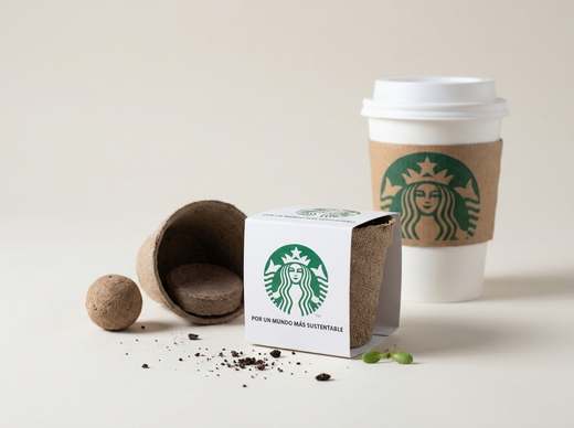 Kit Plantable — 2 contexto starbucks