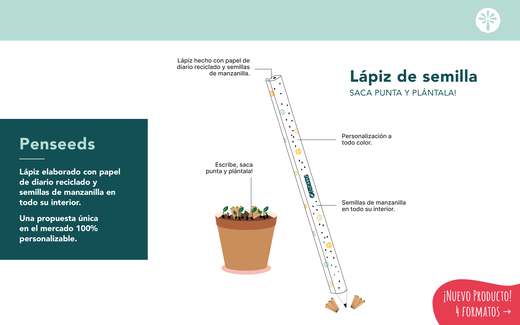 Lápiz plantable — 2 lamina catalogo