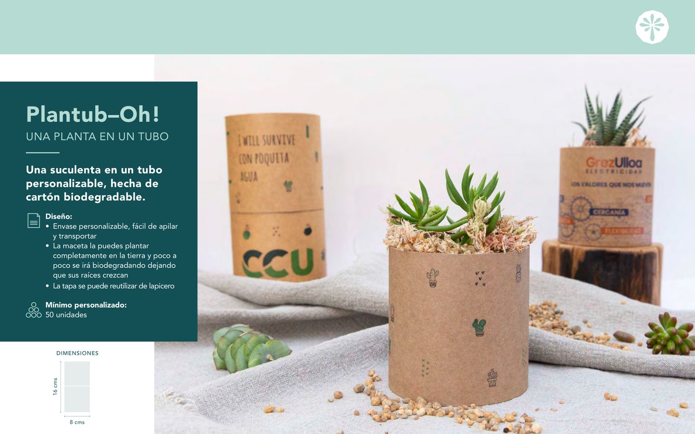 Plantub-Oh! — 0 portada catalogo