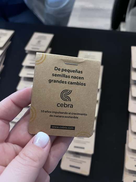 SobredoSeeds — 2 en mano cobra