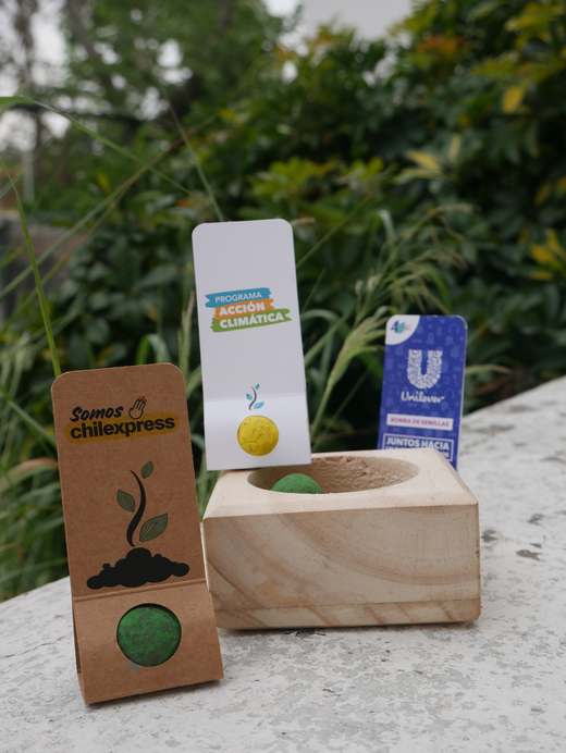SobredoSeeds — 4 detalle madera