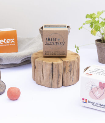 Kit plantable