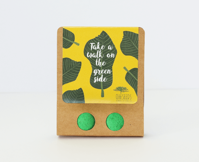 Dúo Dinámico - “Talke a Walk on the green side”- Cilantro y Lechuga