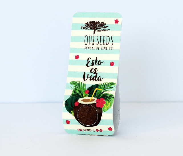 One Love - “Esto Es Vida” - Rúcula - Imagen 3
