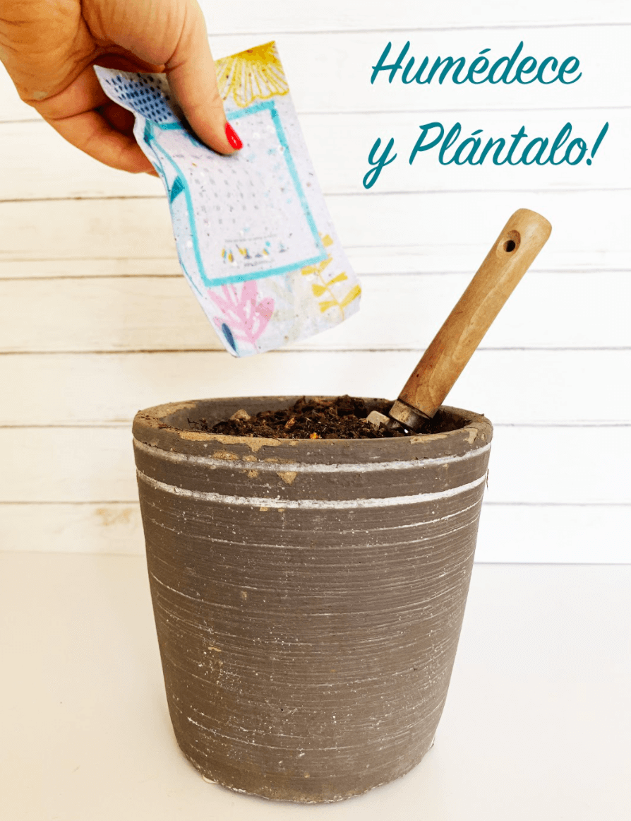 Calendario Plantable Ohseeds - Imagen 2