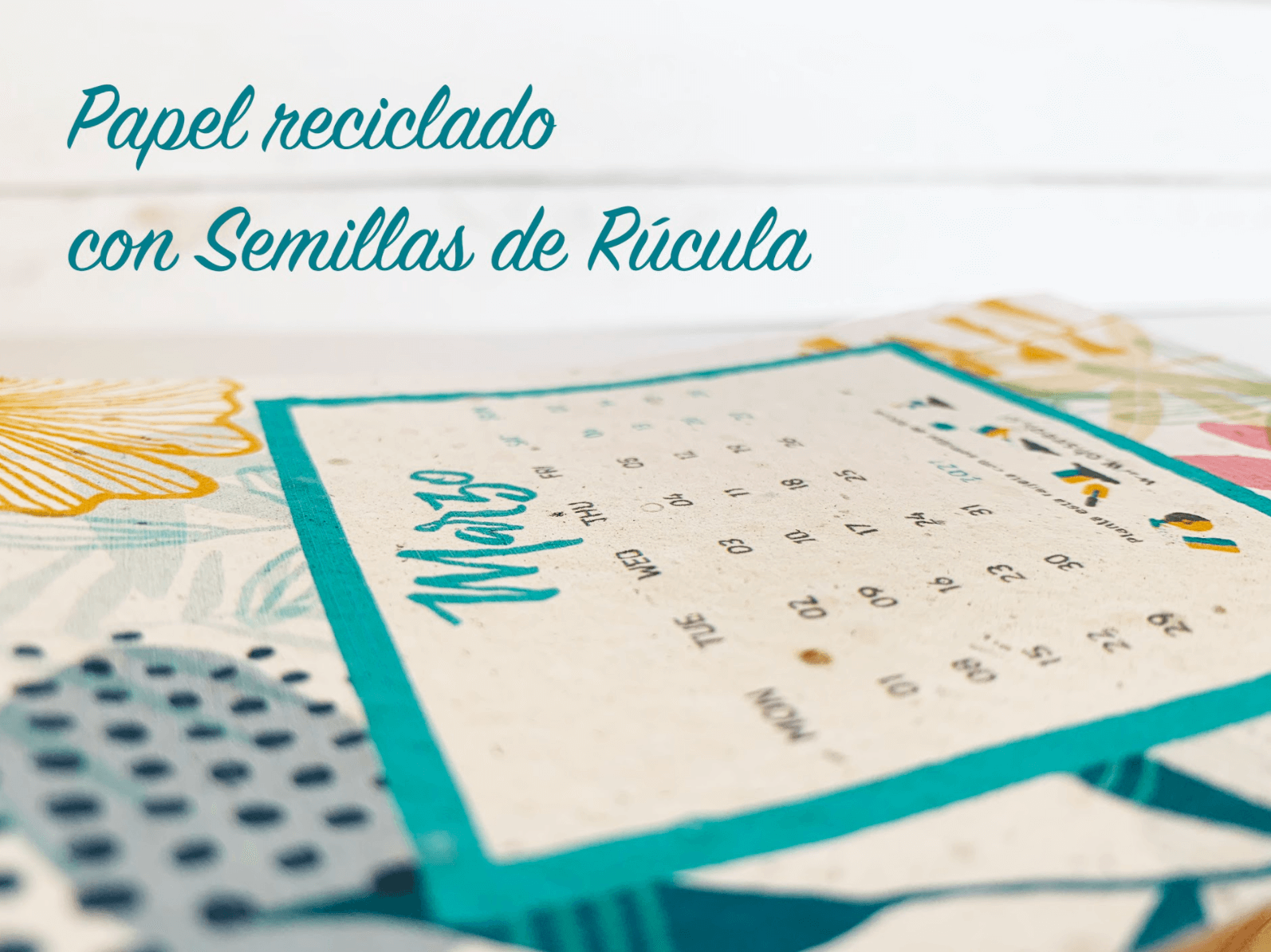 Calendario Plantable Ohseeds - Imagen 4