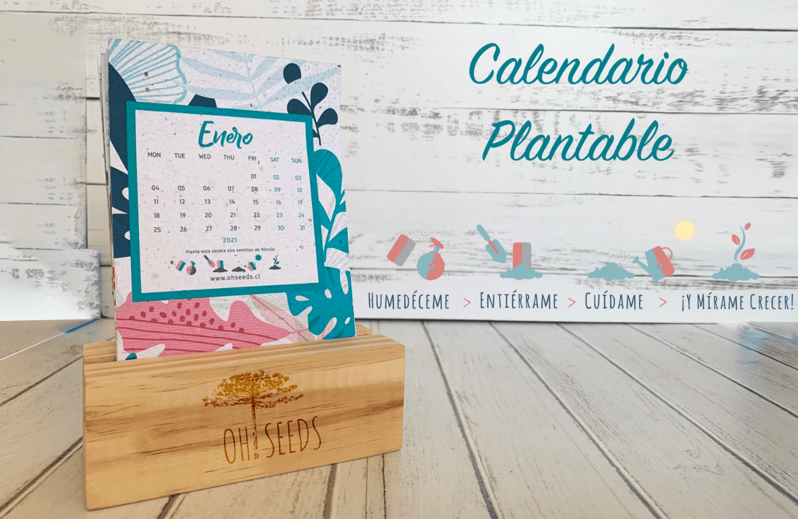 Calendario Plantable Ohseeds