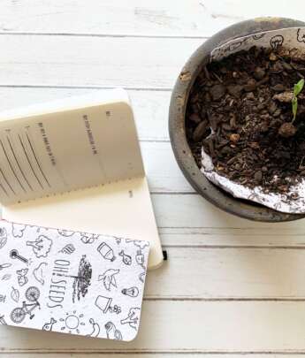 Libreta Plantable