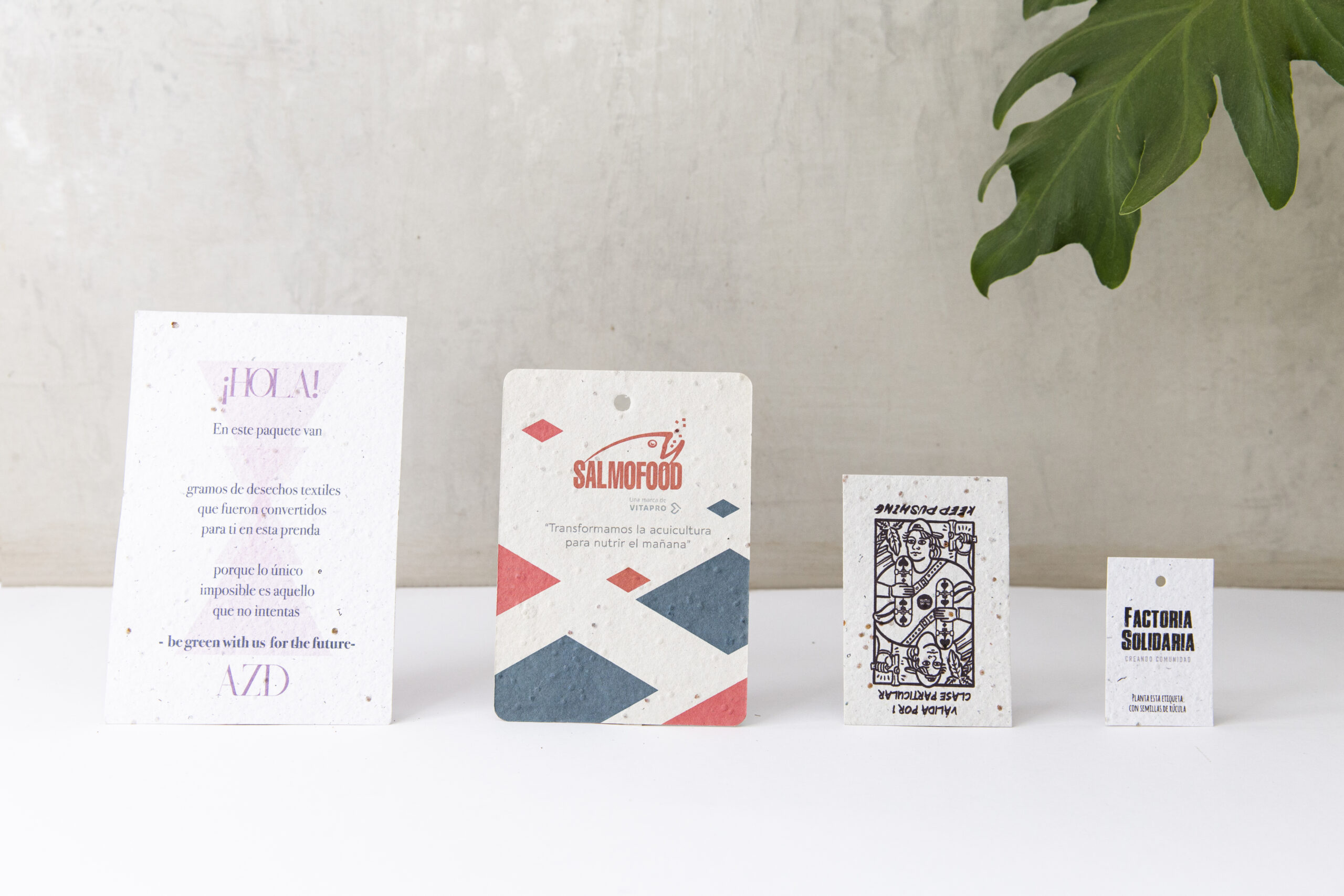 Flyers y Tarjetas