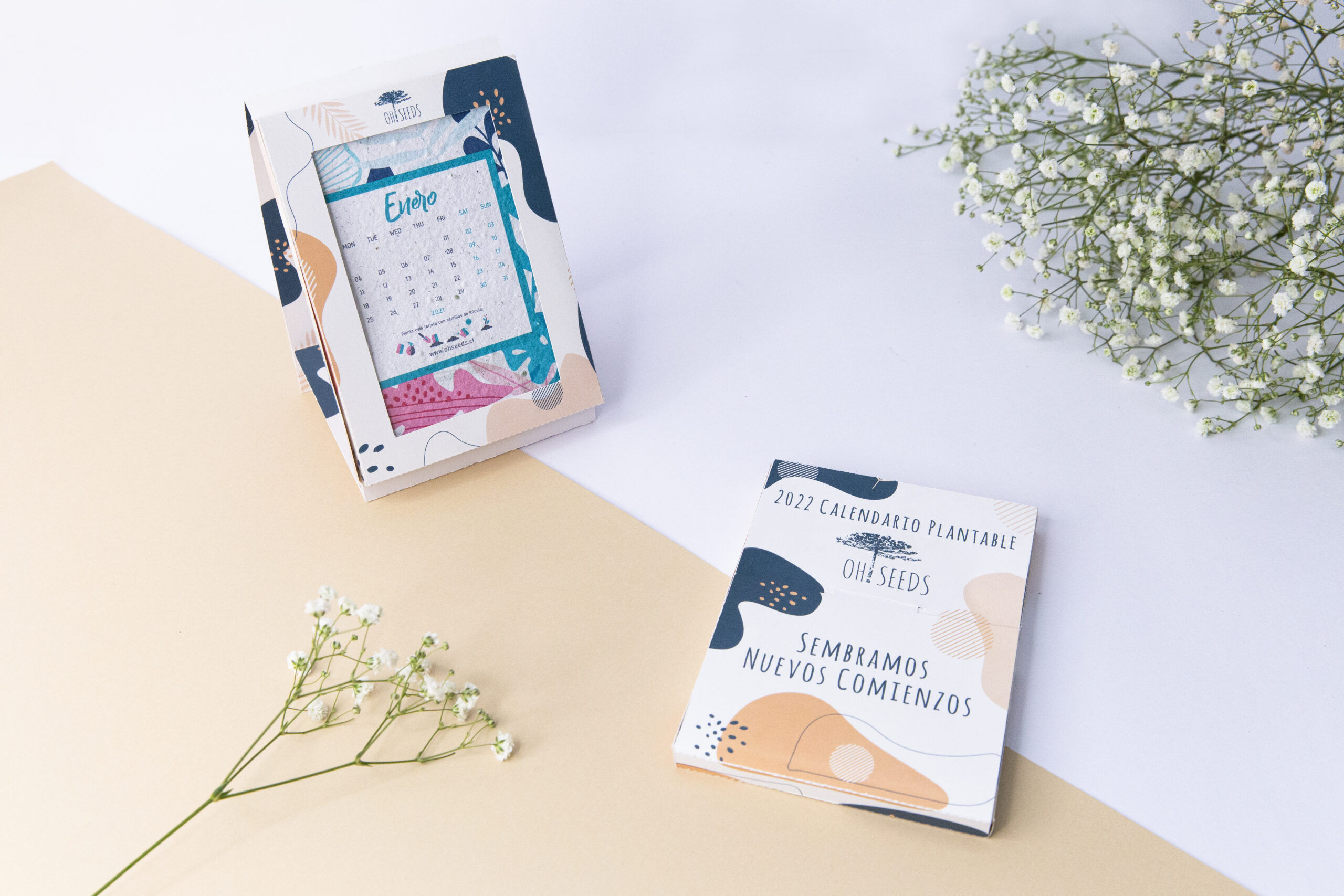 Calendario Plantable - Imagen 3