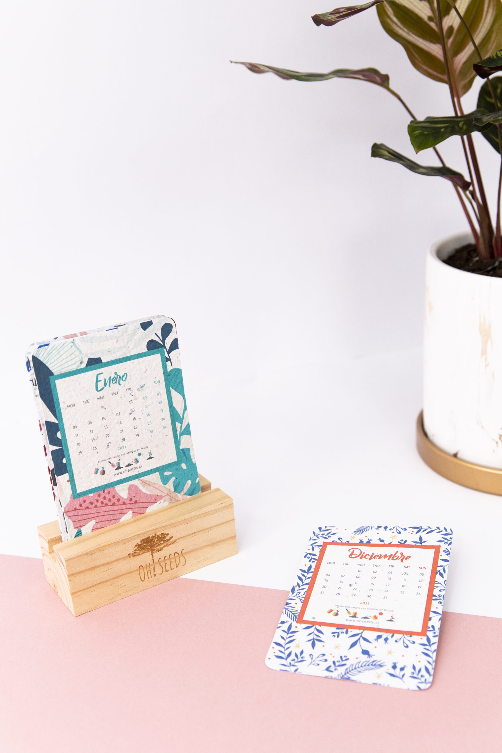 Calendario Plantable