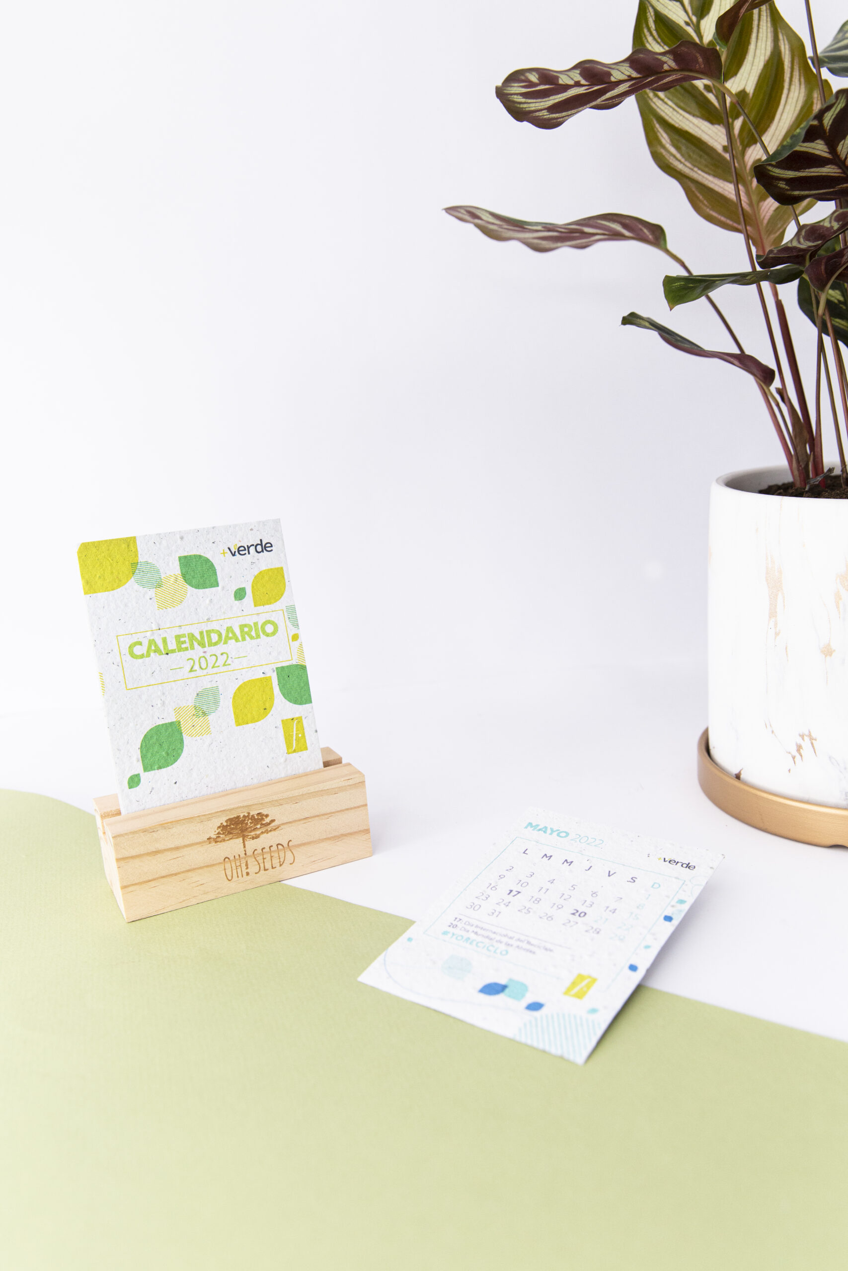 Calendario Plantable - Imagen 2