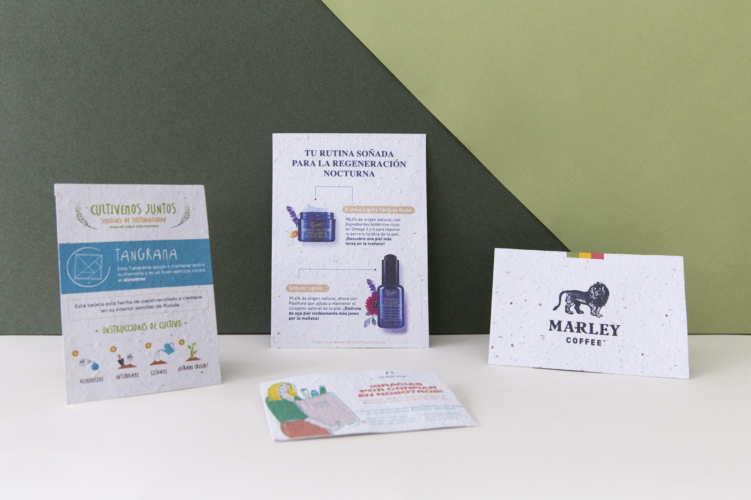 Flyers y Tarjetas - Imagen 2