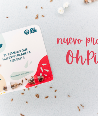 OhPil!